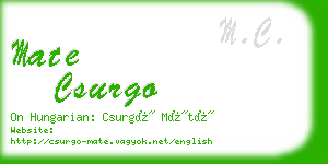 mate csurgo business card